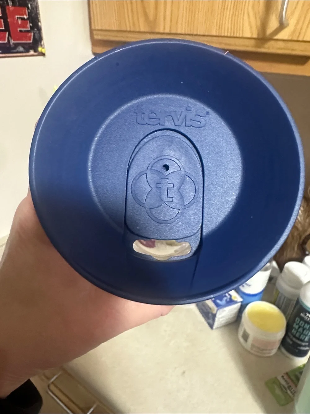 LAKE GIRL TERVIS TUMBLER WITH LID